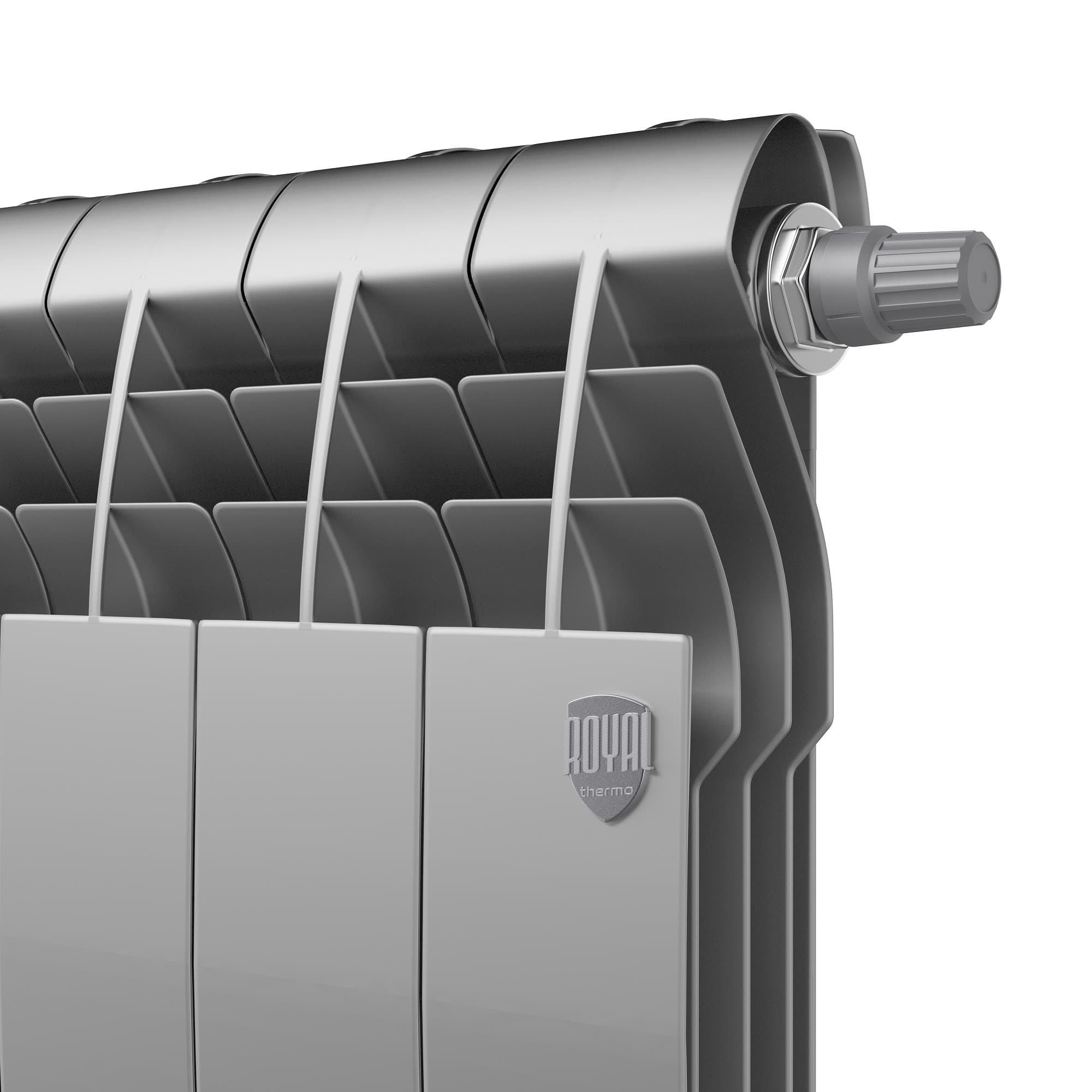 Радиатор Royal Thermo BiLiner 350 /Silver Satin VDR - 6 секц. — фото 4